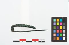 Foto von Bronzebogenfibel (NHMW-PRAE-025499)